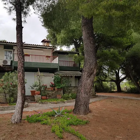 Konstantinos Beach House *